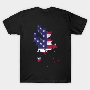 American Flag - Art T-Shirt